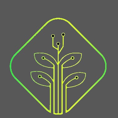 WhatsApp Image 2022-08-01 at 8.17.11 AM